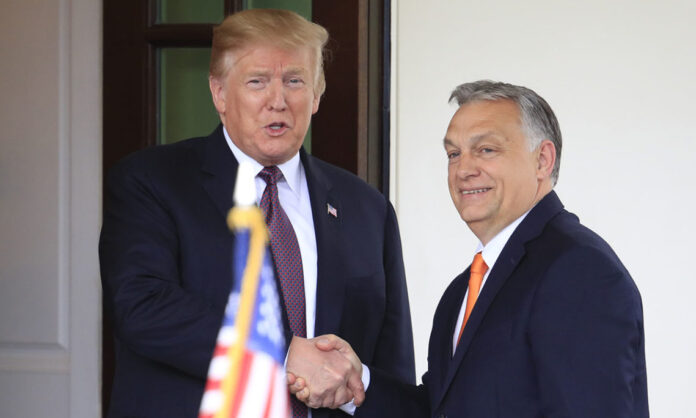 Trump Orbán crypto polygon kryza