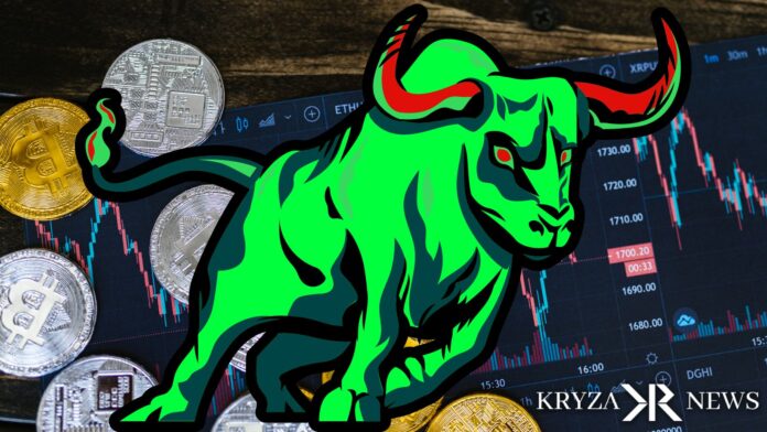 crypto bull run